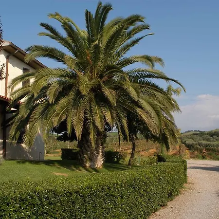 Il Poggiolo ファームステイ *